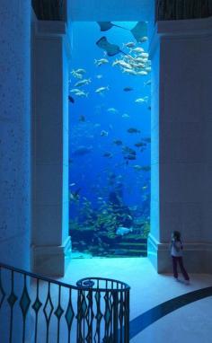 
                    
                        Underwater hotel in Dubai (Atlantis, The Palm)
                    
                