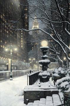 
                        
                            Snowy Night, New York City
                        
                    