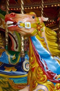 
                    
                        Luna Park Gallopers John and Arthur Anderson Jumper photo by Victor Hugo. Luna Park, Sydney, N.S.W. Australia
                    
                