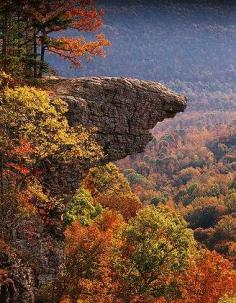 
                    
                        WHITAKER POINT IN UPPER BUFFALO RIVER WILDERNESS AREA, OZARK NATIONAL FOREST NEAR BOXLEY ARKANSAS  A, H. ABERNATHY
                    
                