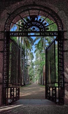 
                    
                        Jardim Botânico, Rio de Janeiro (por Ricardo Bevilaqua )
                    
                