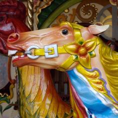 
                    
                        Merry Go Round (Carousel) - Luna Park Gallopers John and Arthur Anderson Jumper photo by Victor Hugo. Luna Park, Sydney, N.S.W. Australia
                    
                