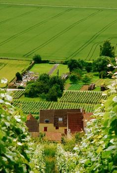 Champagne - France