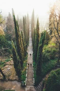 
                    
                        Verona, Italy
                    
                