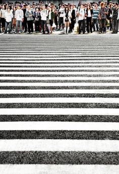 
                    
                        The calm before the storm, this is the busiest intersection in the world before the lights turn green, once it does, madness ensues. AKA Shinjuku intersection in Tokyo, Japan... #travel #urban #wanderlust
                    
                