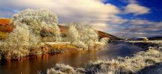 
                    
                        River Dornoch pan
                    
                