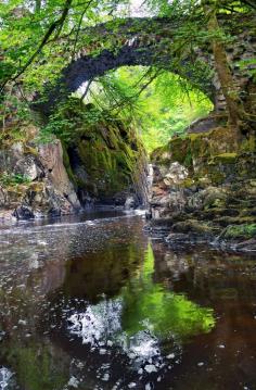 
                    
                        Stone bridge at The Hermitage, Dunkeld / Scotland
                    
                