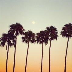 
                    
                        Made in L.A. Palm Trees!!! #coordinatescollection #mycoordinates
                    
                