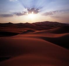 
                    
                        Liwa Oasis, Abu Dhabi
                    
                