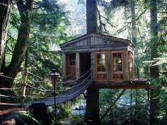 
                    
                        Home Styles: Tree houses style & design
                    
                