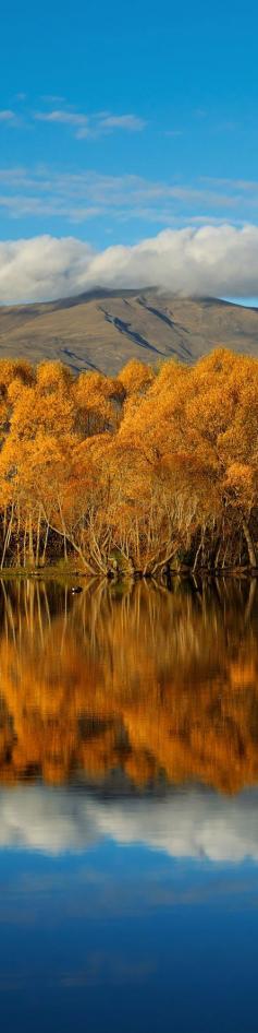 
                    
                        Autumn in Arrowtown, Central Otago, South Island, New Zealand.
                    
                