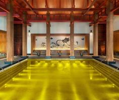 
                    
                        Gold energy pool at St. Regis in Lhasa, Tibet | 31 Of The Most Exotic Pools On Earth
                    
                