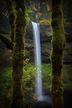 
                    
                        silver falls state park,  Silverton, Oregon
                    
                