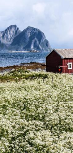 
                    
                        15 reasons why Norway will Rock your World | 6. Summer view to Vaeroy island, Lofoten, Norway
                    
                