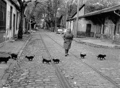 
                    
                        Chats de Bercy - (c) Robert Doisneau
                    
                