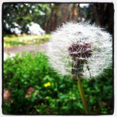 
                    
                        On the way to the laundry room and looked down.... just look at the beauty we pass by everyday!
                    
                