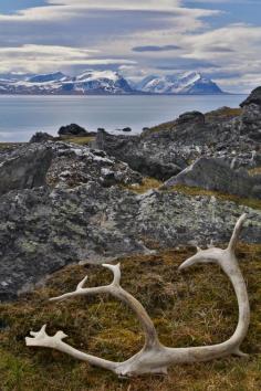 
                    
                        Land of the midnight sun and the wizard’s wand spectacle of the aurora borealis, Northern Norway is always light fantastic, but in 2015 all light will disappear totally for a couple of minutes when the moon blocks out the sun. #bestintravel
                    
                