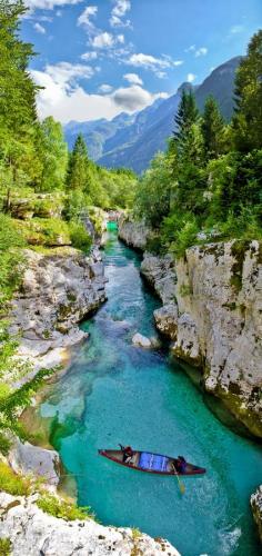 
                    
                        Emerald river - Julian Alps - Slovenia
                    
                