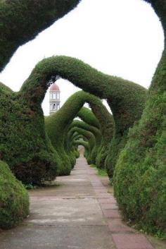 
                    
                        Zarcero Topiary Gardens, Costa Rica
                    
                