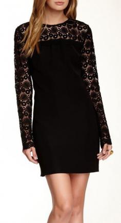 
                    
                        Cynthia Steffe | Aviva Crochet Detail Long Sleeve Dress
                    
                