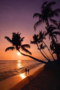 
                    
                        Love sunset walks on the beach - Maui, Hawaii
                    
                