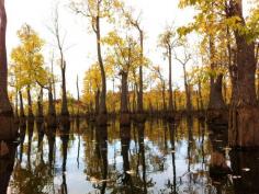 
                    
                        Kayaking on Cheniere Lake, West Monroe, Louisiana ♥
                    
                