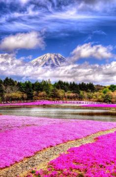 
                    
                        Mt. Fuji, Japan
                    
                