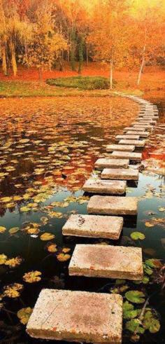 
                    
                        Lipnik Park near Ruse, Bulgaria
                    
                