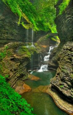 
                    
                        Summer, Watkins Glen, New York
                    
                