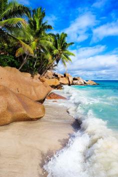 
                    
                        Anse Patates, La Digue, Seychelles
                    
                