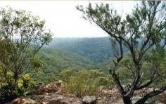 
                    
                        Grose Road Lookout Faulconbridge Blue Mountains Australia by sandraarrell
                    
                