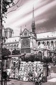 
                    
                        Paris Photography  Bookseller's Stall and Notre
                    
                