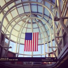 
                    
                        Chicago O'Hare International Airport (ORD) in Chicago, IL
                    
                