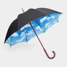 
                    
                        Sky Umbrella
                    
                