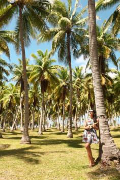 
                    
                        The Cherry Blossom Girl - Postcard from Tahiti
                    
                