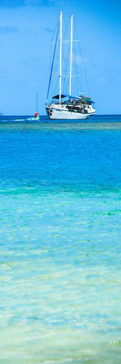 
                    
                        Shades of blue on the great Mackerel Beach, Australia.
                    
                