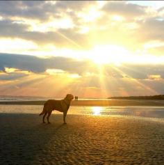 
                    
                        Hilton Head Island, South Carolina.
                    
                