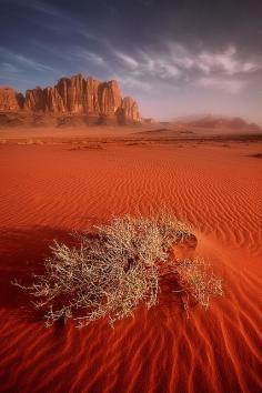 
                    
                        Sunrise over the desert of Wadi Rum, Jordan, by Jarrod Castaing
                    
                