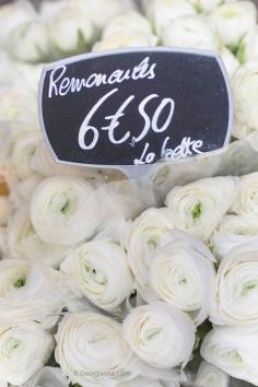 
                    
                        Paris Flower Photography White Ranunculus
                    
                