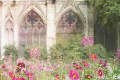 
                    
                        Paris Photo Jardin du Notre Dame Paris France   by GeorgiannaLane
                    
                