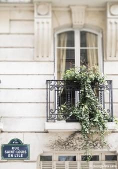 
                    
                        Window, Ile Saint-Louis, Paris, by Georgianna Lane
                    
                