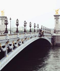 
                    
                        Pont Alexandre III
                    
                