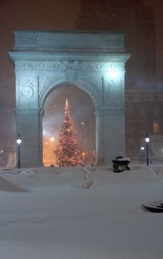 
                    
                        Snowy Christmas tree, Washington Square park, New York City, NY
                    
                