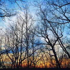 
                    
                        Eerily beautiful winter sunset. Photo courtesy of andrewgaro on Instagram.
                    
                