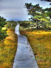 
                    
                        Maine Photos - Path to Bliss by Tammy Wetzel
                    
                