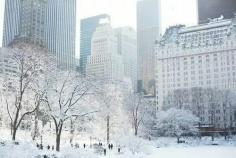 
                    
                        Wow! Central Park
                    
                