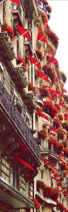 
                    
                        Avenue Montaigne in Paris - red flowers
                    
                