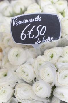 
                    
                        White ranunculus, Paris, by Georgianna Lane
                    
                