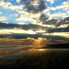 
                    
                        December in Hilton Head, South Carolina.
                    
                