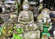 
                    
                        Elements to create your own oasis of serenity. Discovered by Betsy Wuebker at Garden Ponds Nursery, Kilauea, Kauai, Hawaii
                    
                